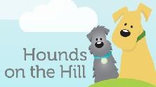 Hounds on the Hill!